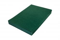 Karton DELTA skóropodobny zielony (100 sztuk) DATURA